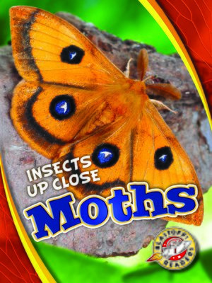 cover image of Moths